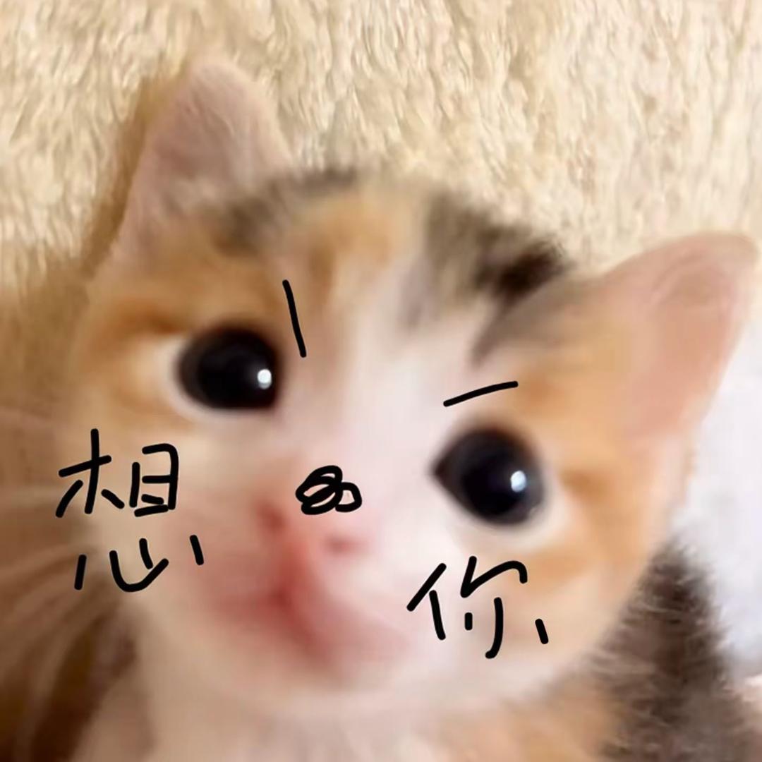 ˶ᵒ ᵕ ˂˶