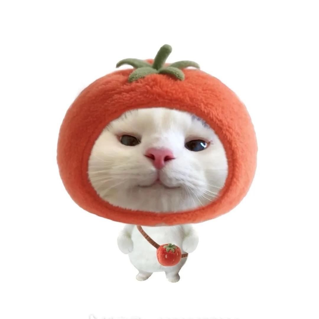 呆呆蟹🦀