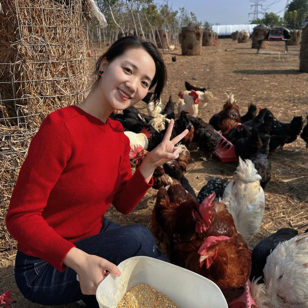 养鸡少女日常