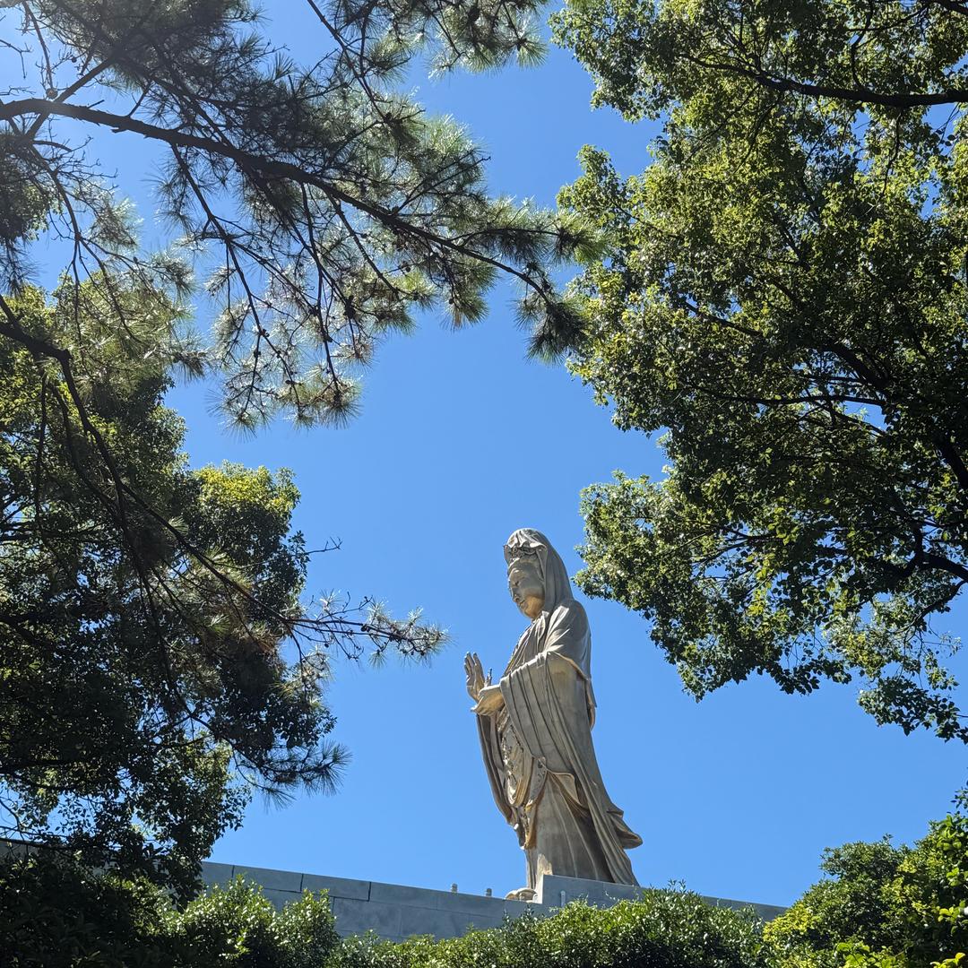 典宇胶业