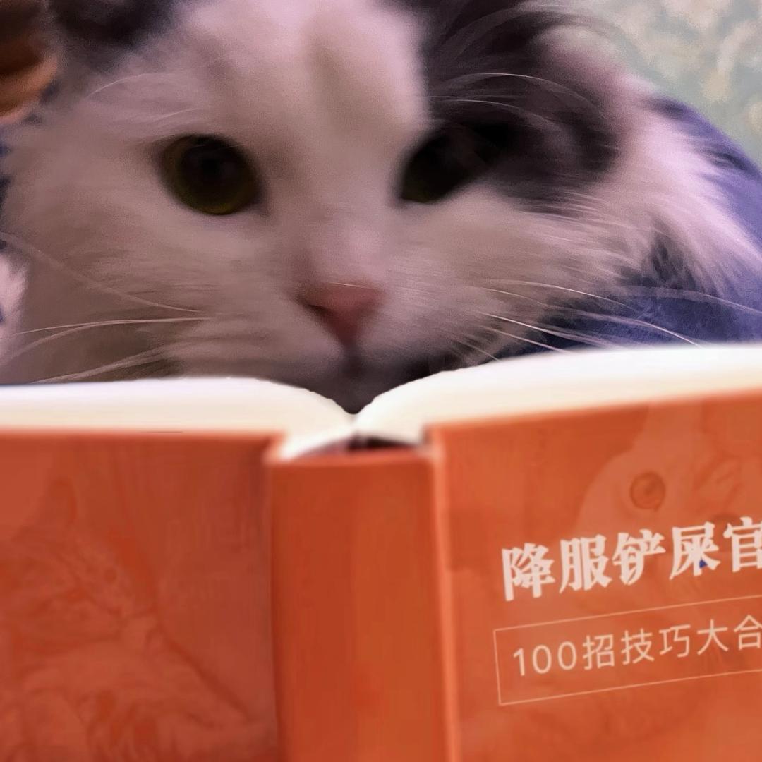 郭着着（仨猫的妈）