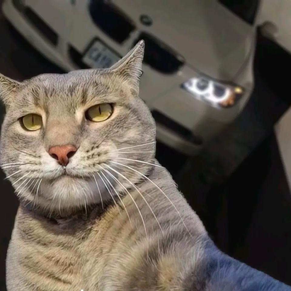 ⁷ ㅤ
