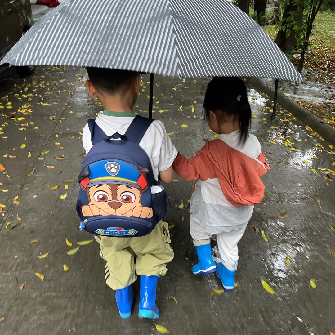 卿晨养儿记