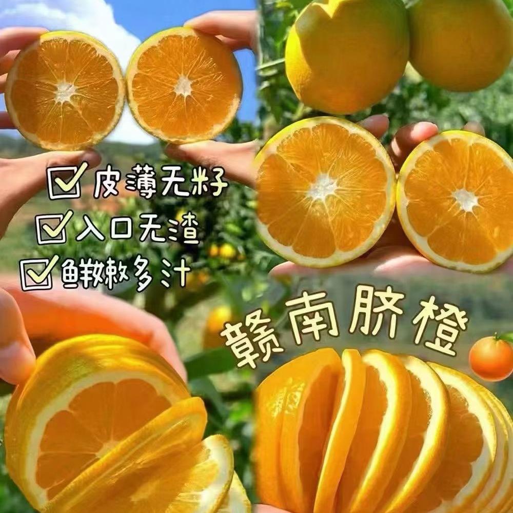 a赣南信丰脐橙