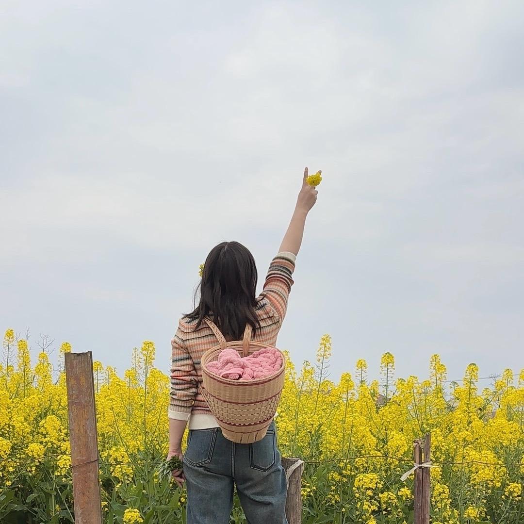 断翼飞翔🌻