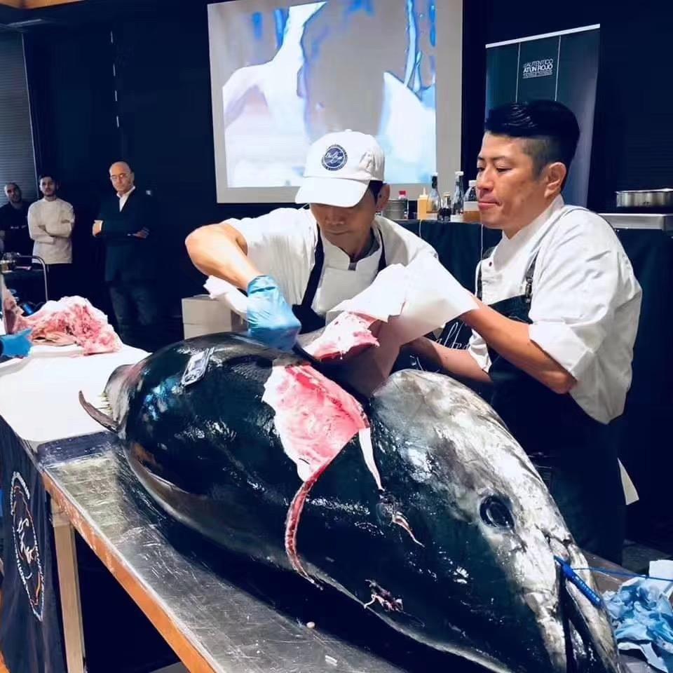 蓝鳍金枪鱼市
