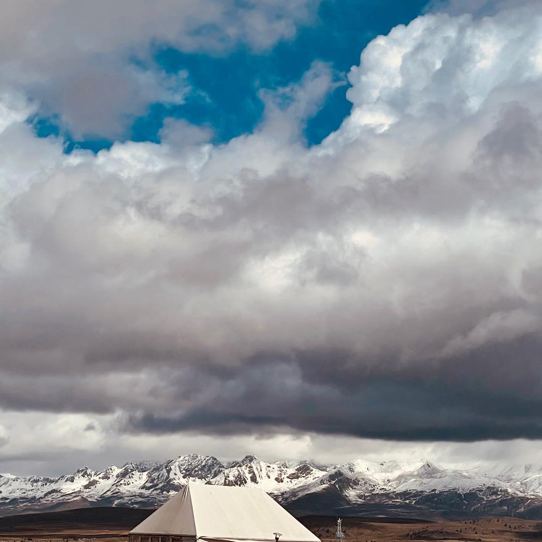 ㅤㅤㅤㅤㅤㅤㅤㅤㅤ