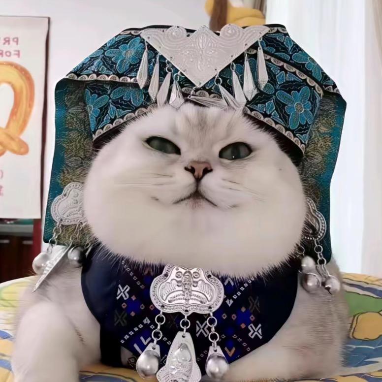 胖芬儿一口吃不下