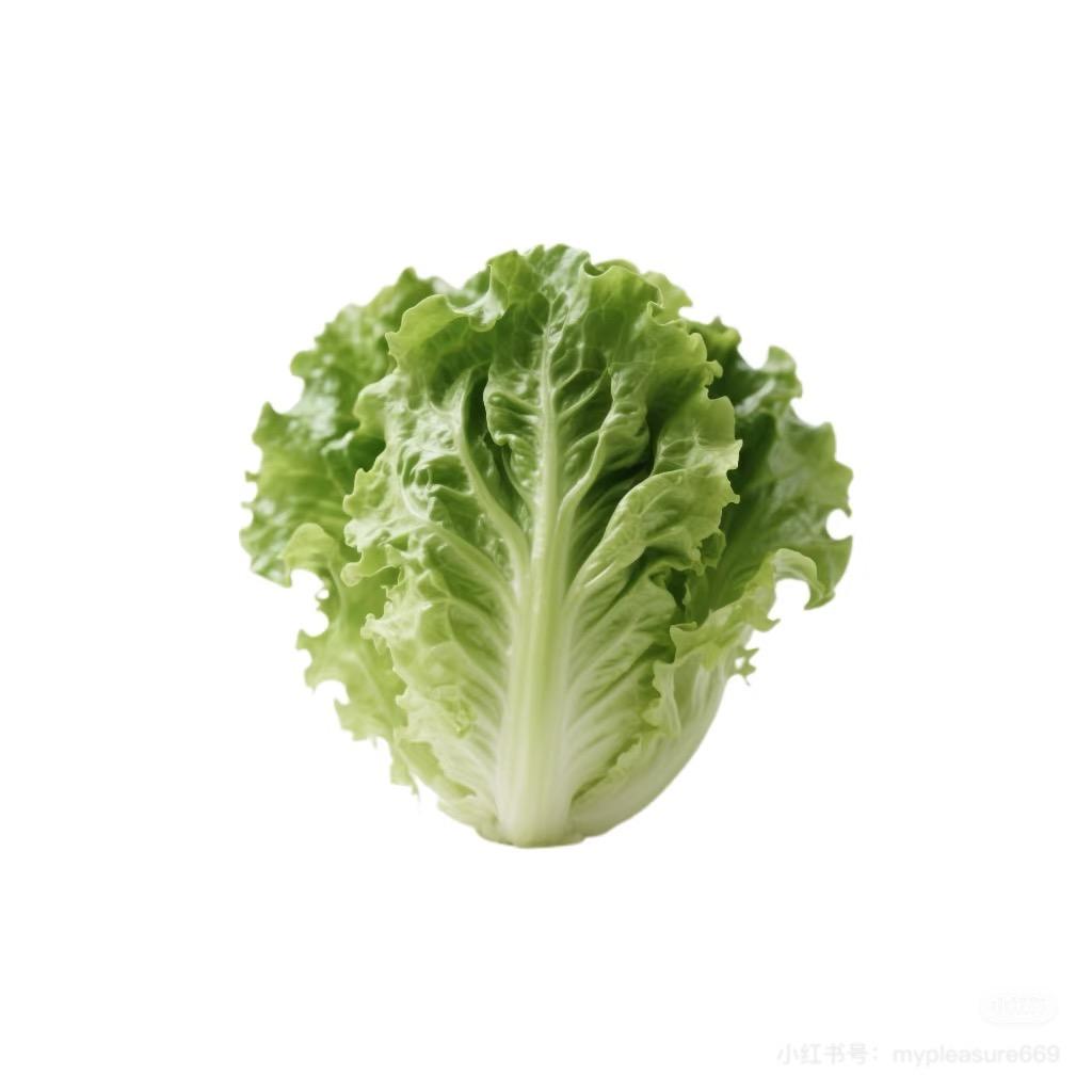 莴苣啊莴苣_