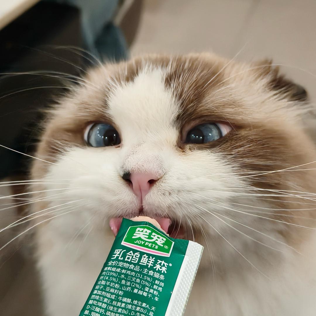 玛卡巴卡的小推车