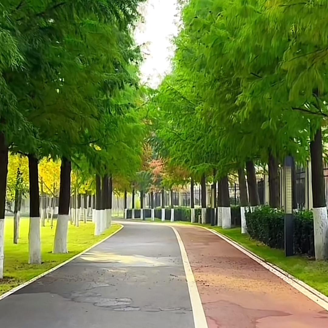 独处