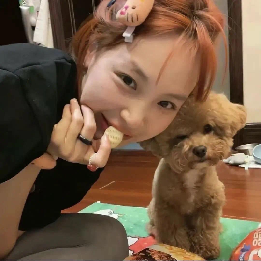 叫我肉松小bei