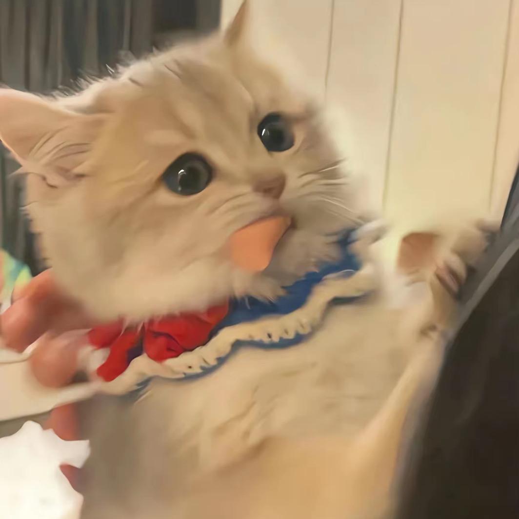 mumu超哇塞ぃ