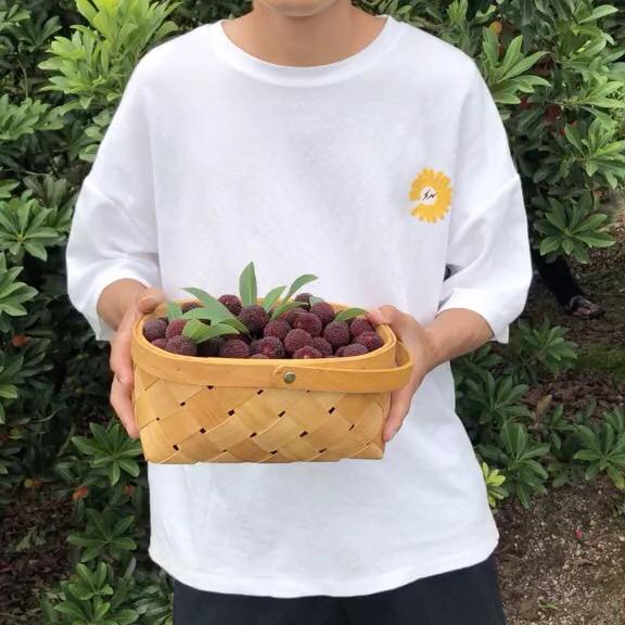 溢果生香苗木基地