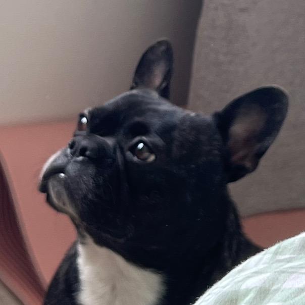 明～