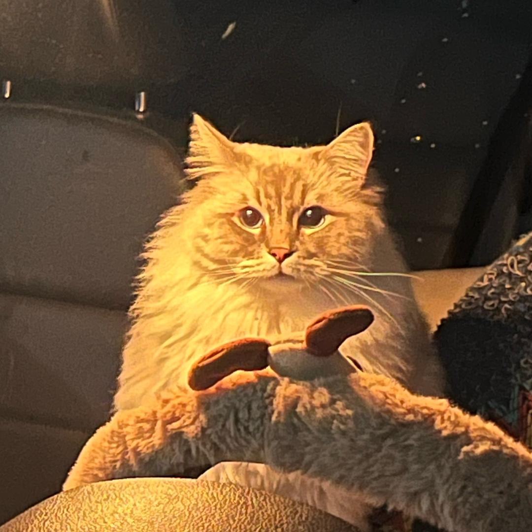 记得填写昵称啦啦啦啦啦啦啦啦啦啦啦啦啦啦