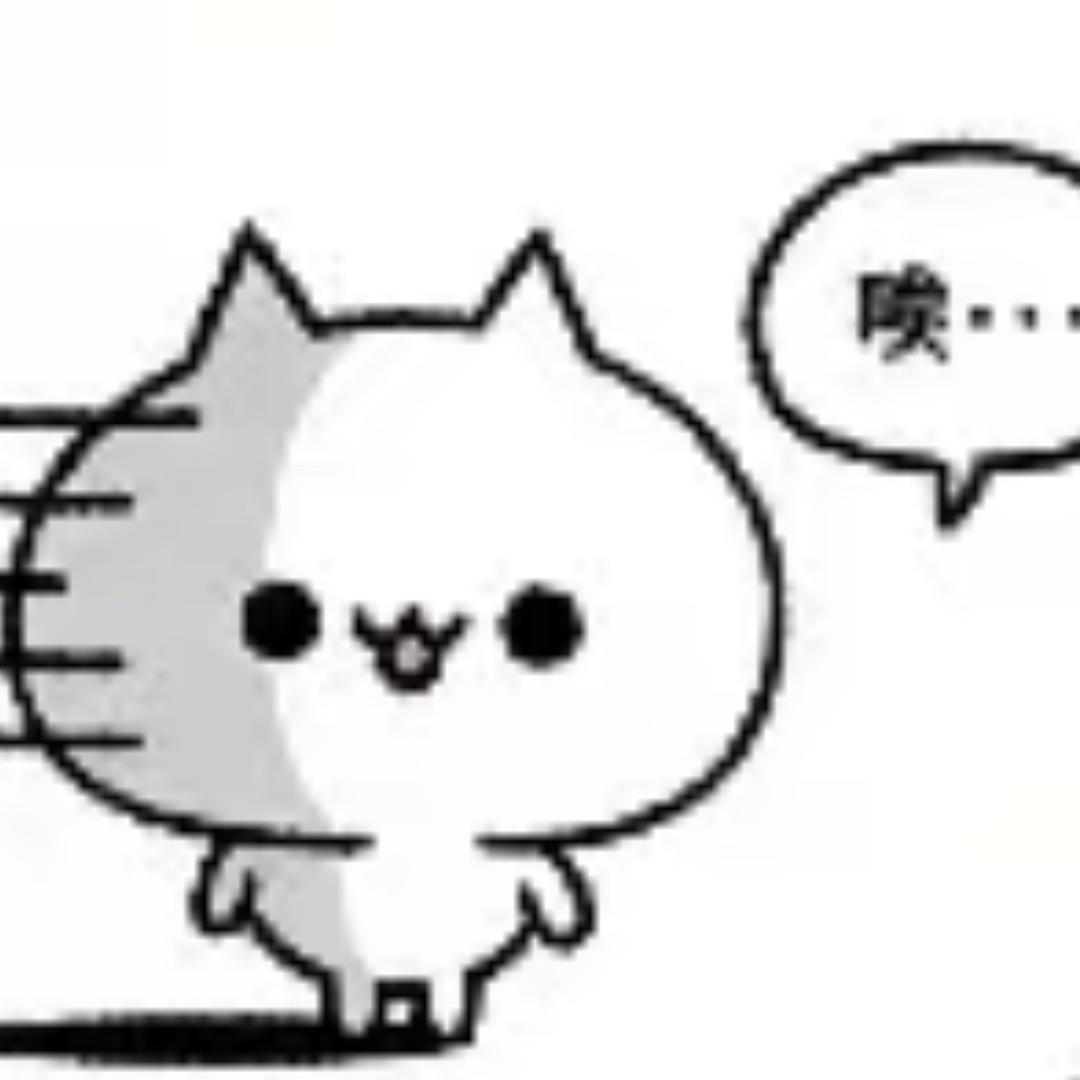 小岛0q0