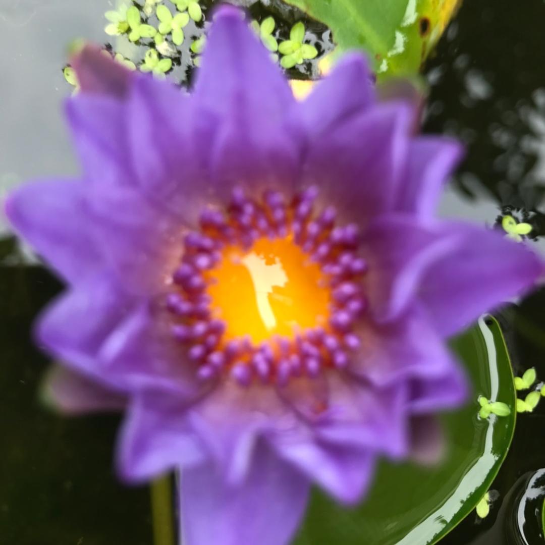 豫p雨哥审车😊