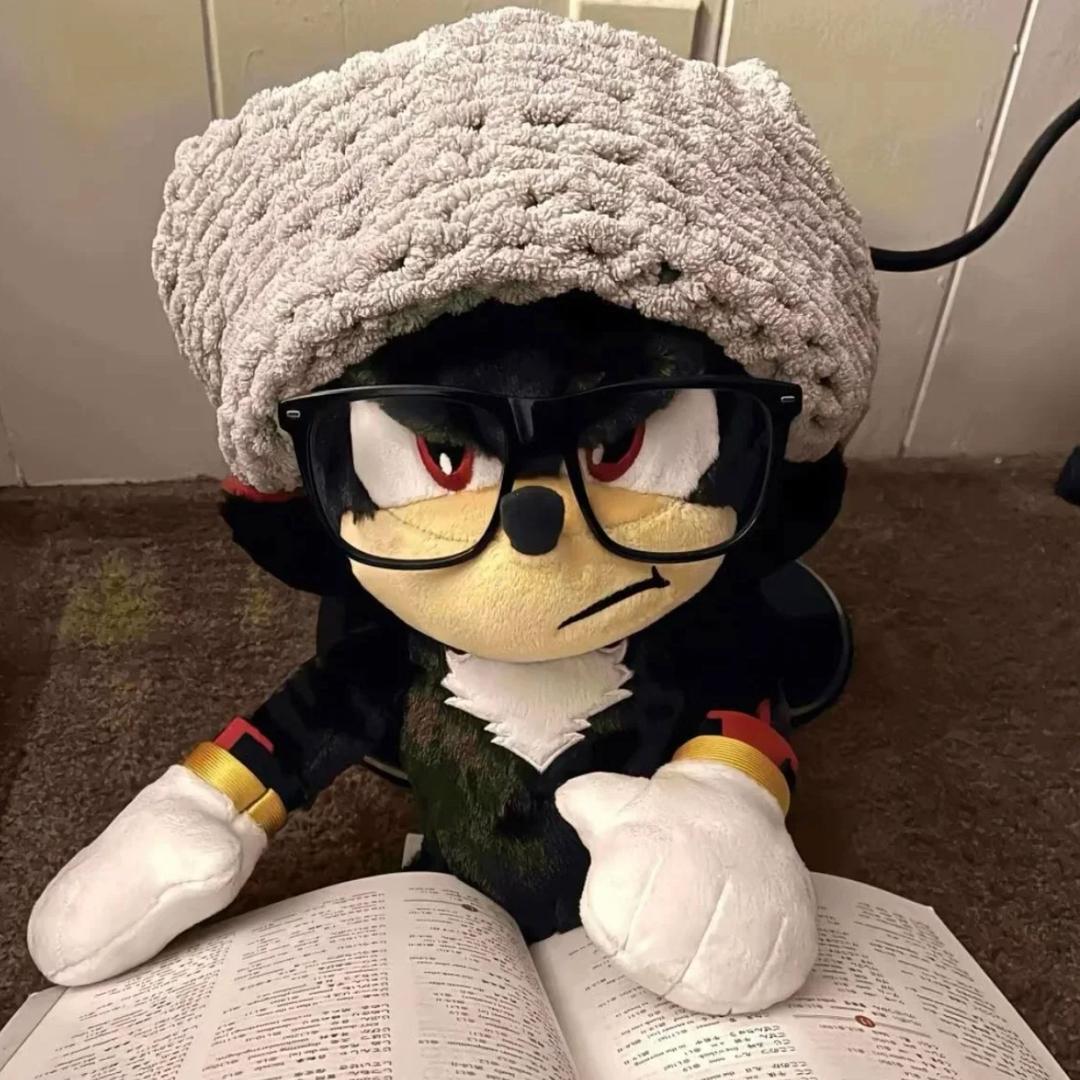 打开天窗说废话