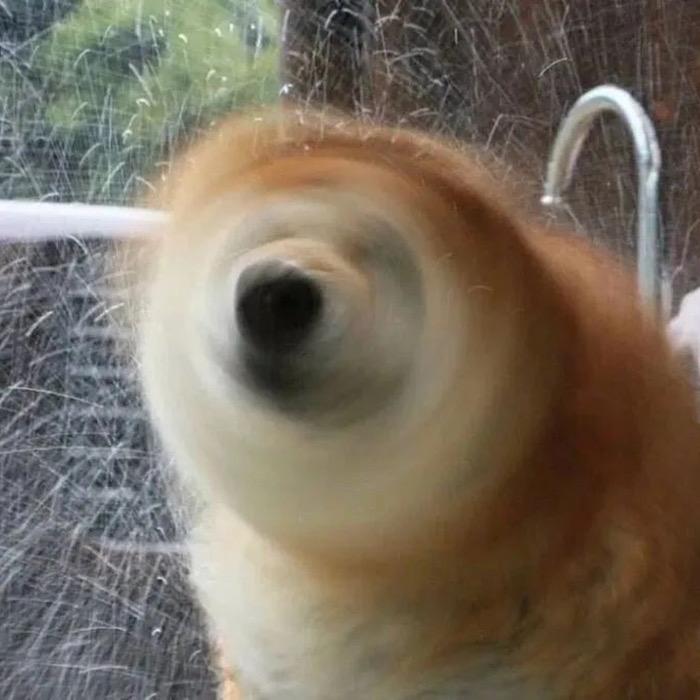 圣优Hyyyyy丶