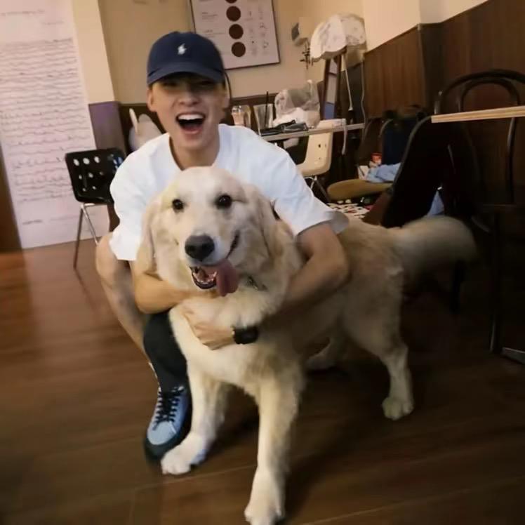 江湖危险快点逃