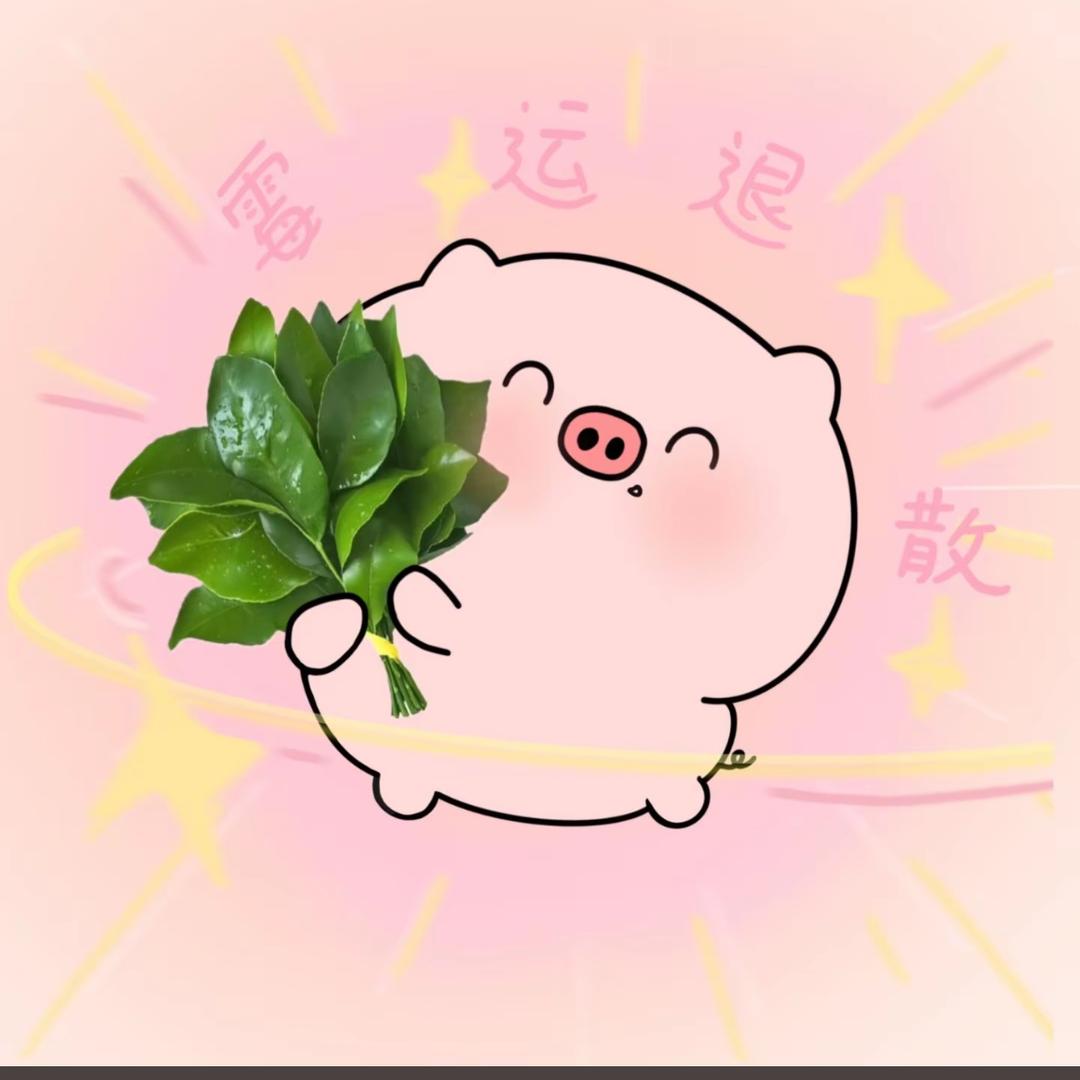 糯米💗