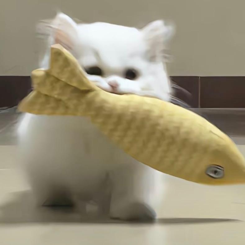早起