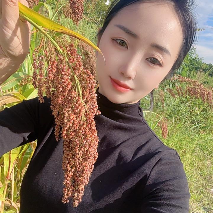 小阿仙（土特产）