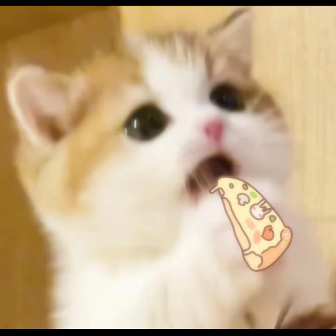 💍💕🫶🏻