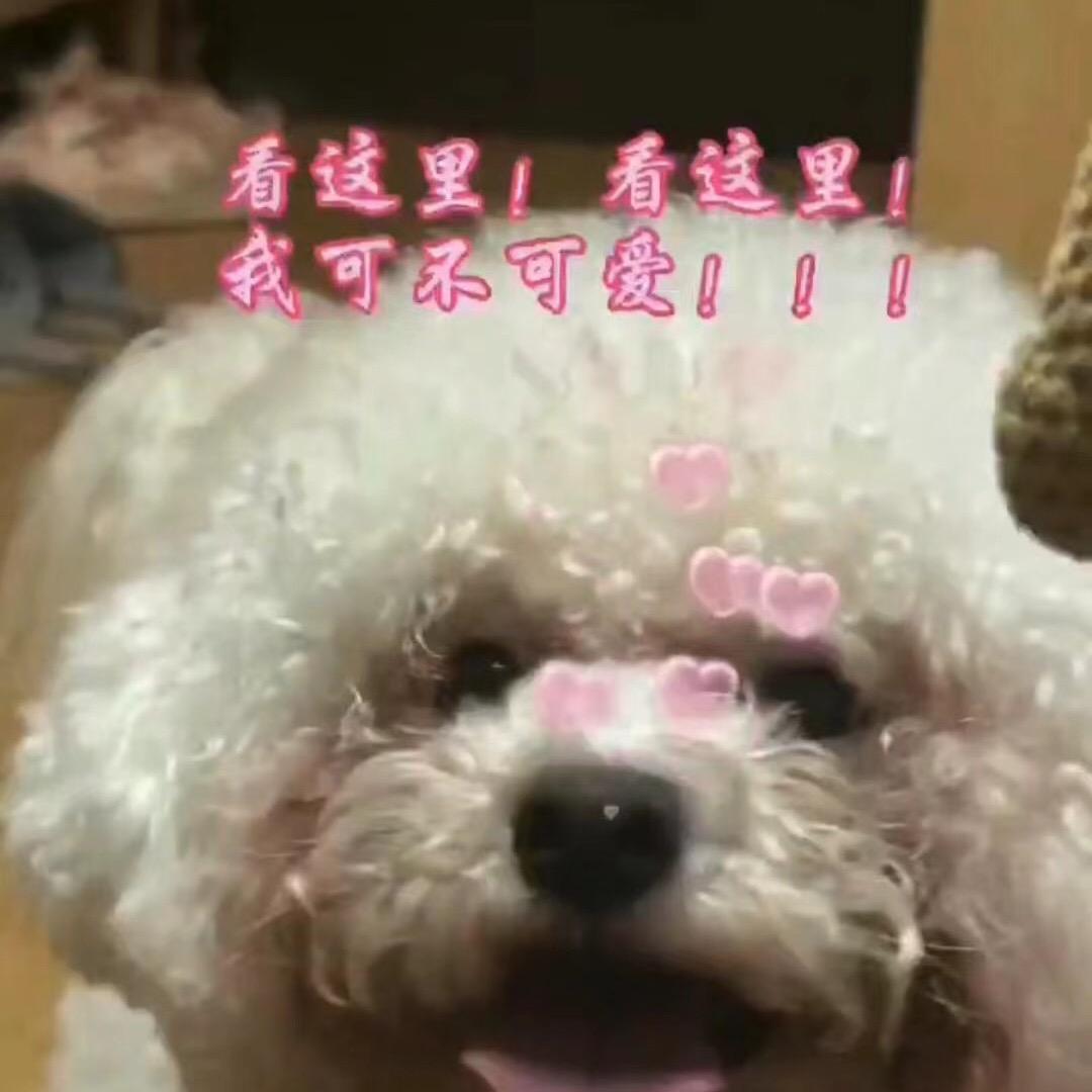 美羊优选