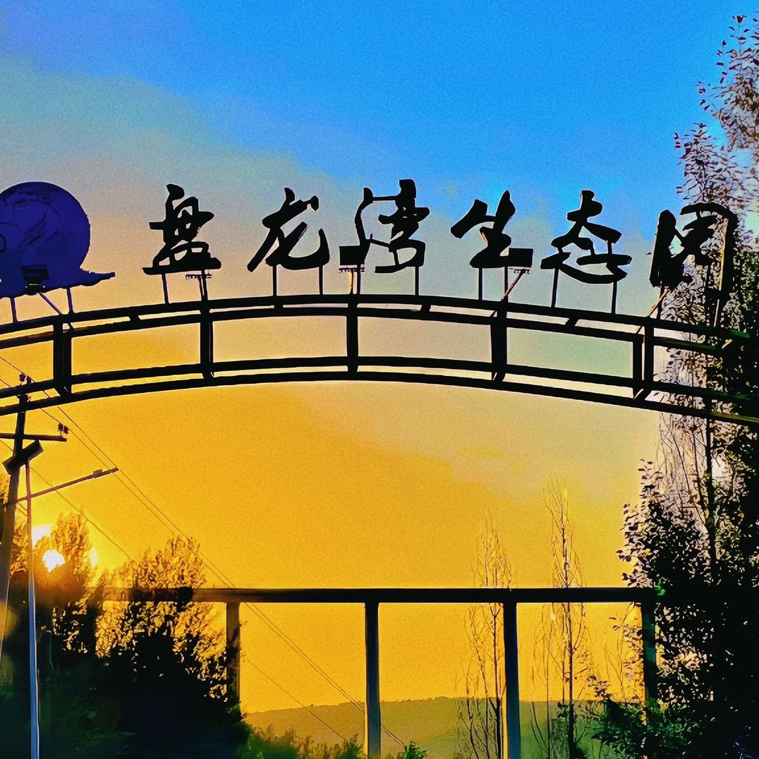 神木市盘龙湾樱桃采摘园