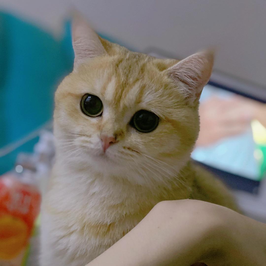 宠爱一生❤️