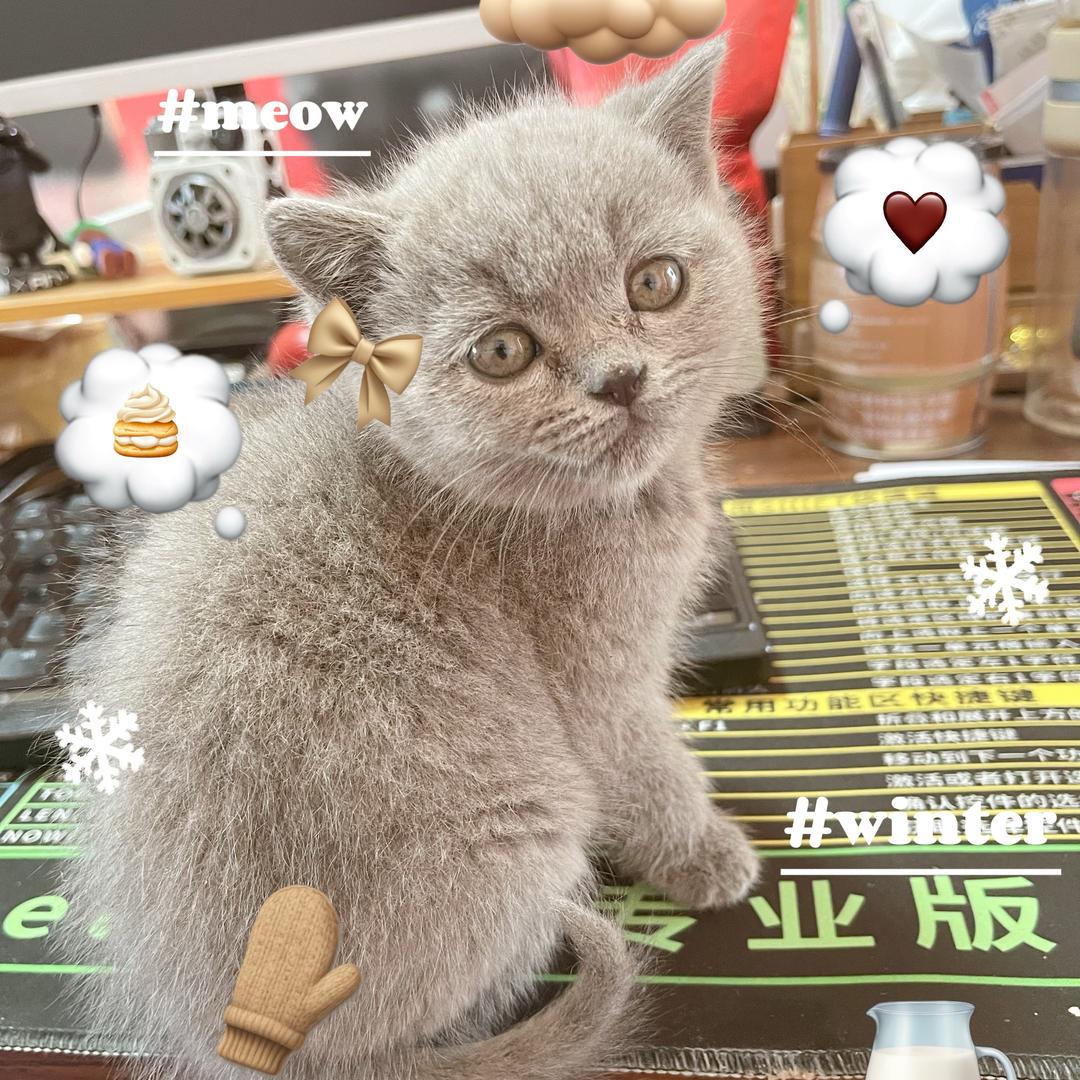 220的电伏，电不死250的猫^_^