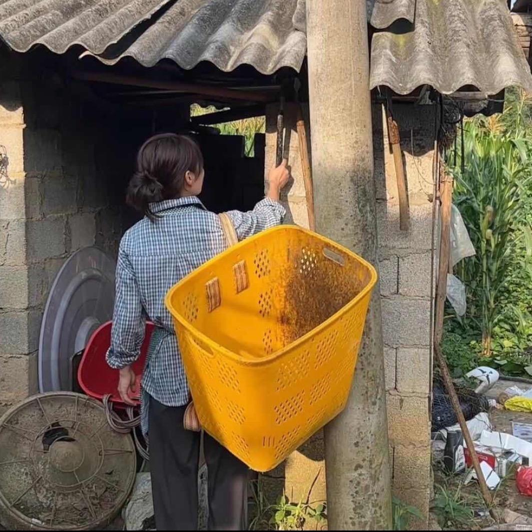 小陈的回村生活