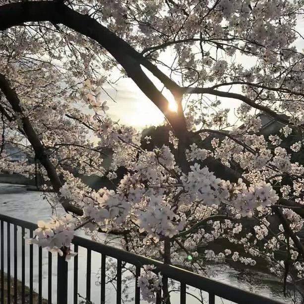 (奇东)云边有个小卖部