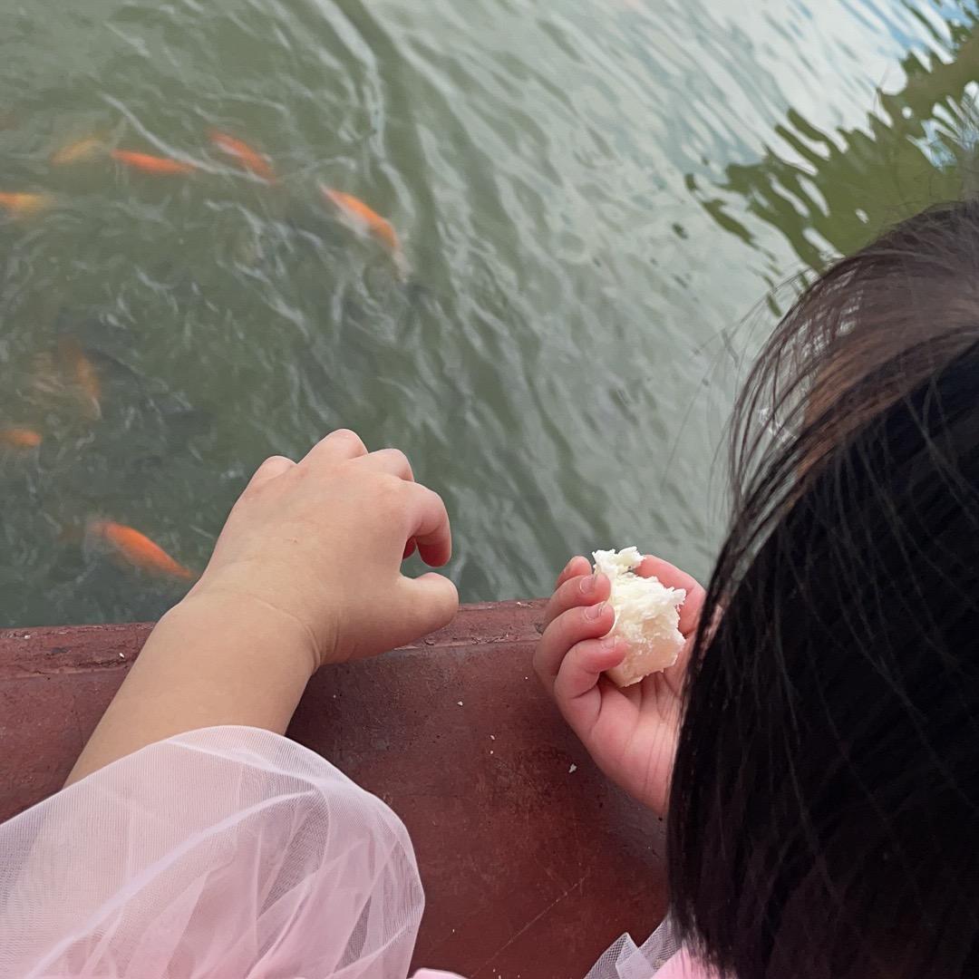 缨~