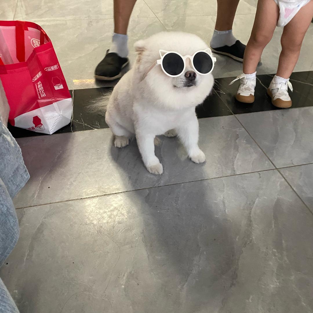 橙橙的成长日记