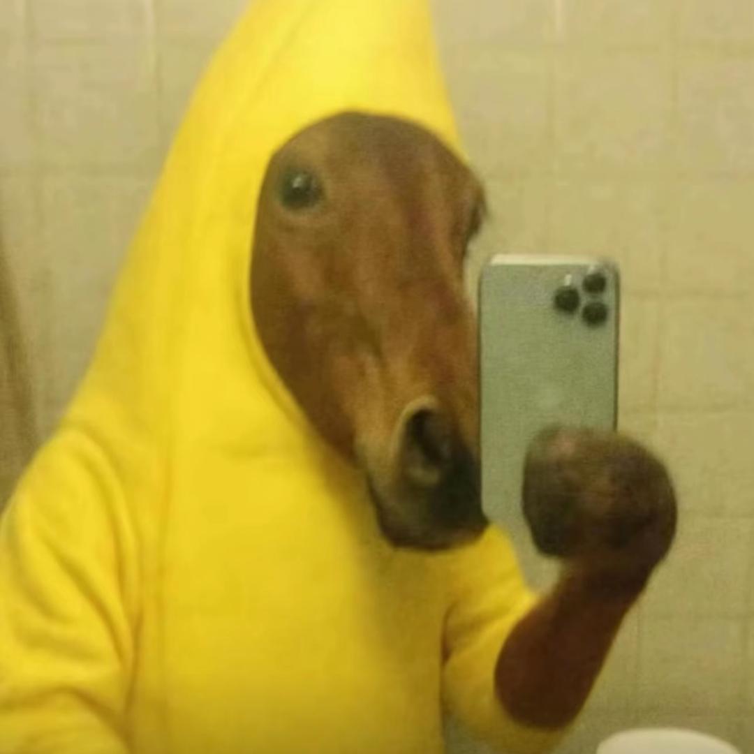 超级无敌数码暴龙普信下头男