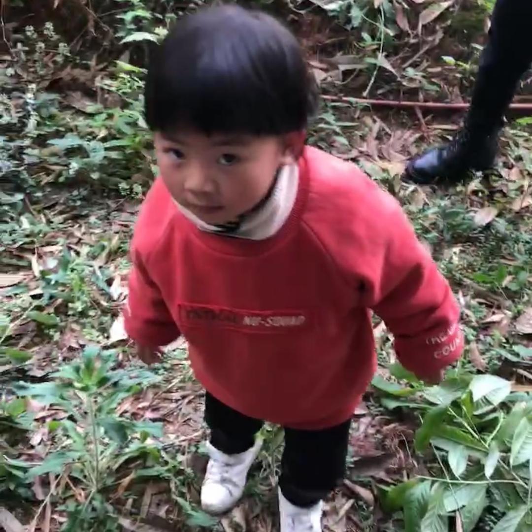 怪兽