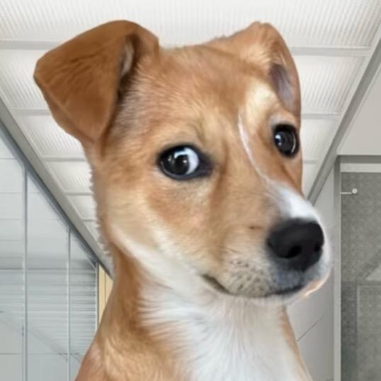 徐小凯
