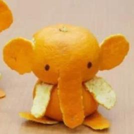 翰宝的添添