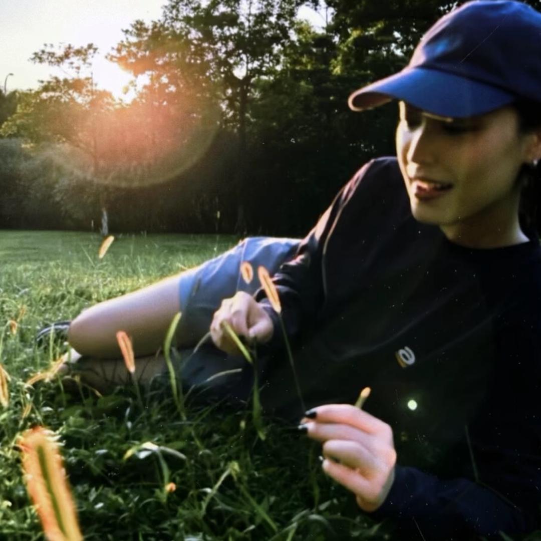 枯枝上的黑烏鴉