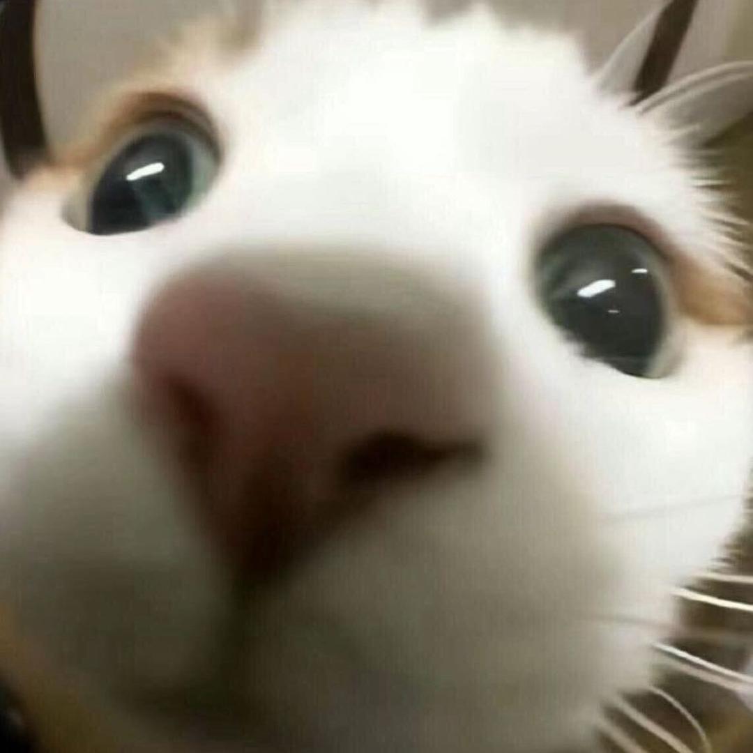 秋晚依