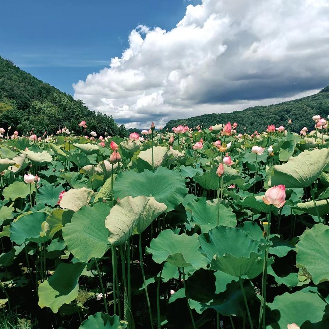 三岔塘