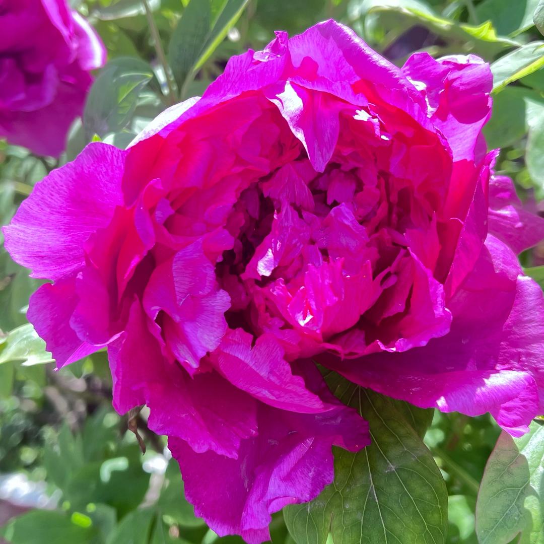 缘分让我遇到你