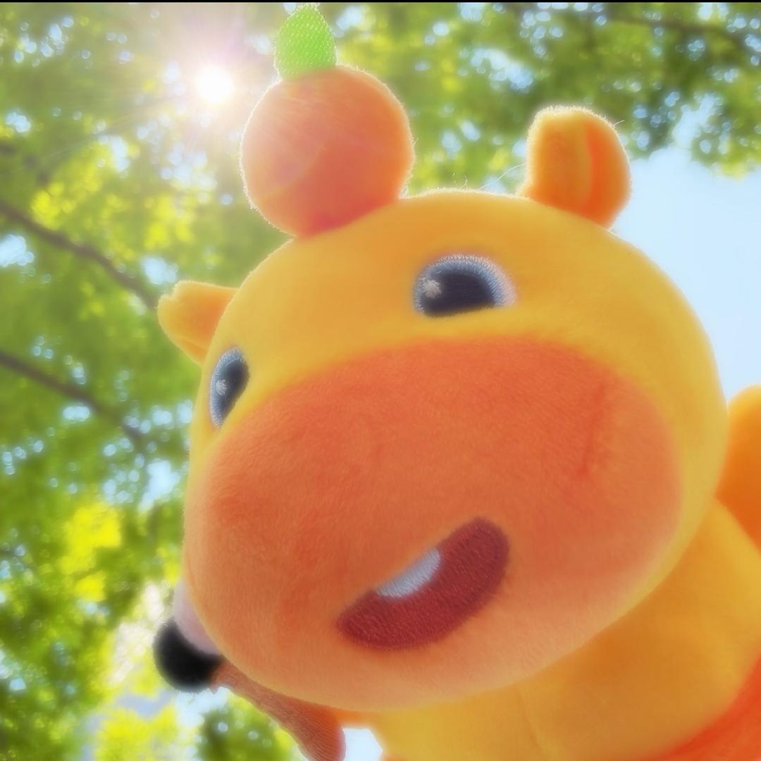 哲理涵