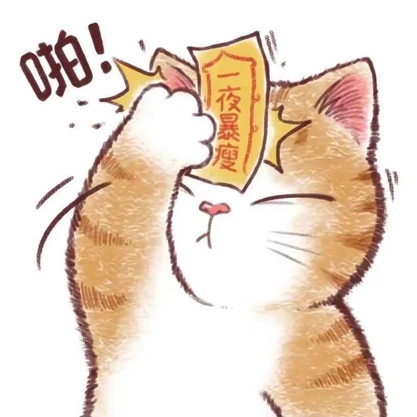 大.大.尧头像