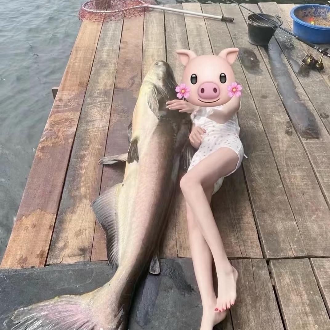 愿者上钩