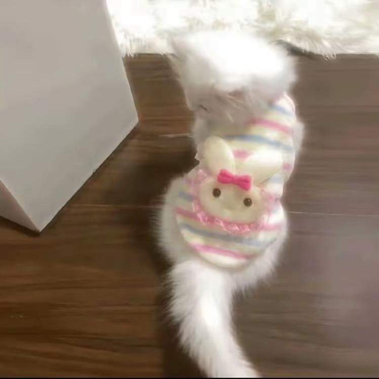 🍤、