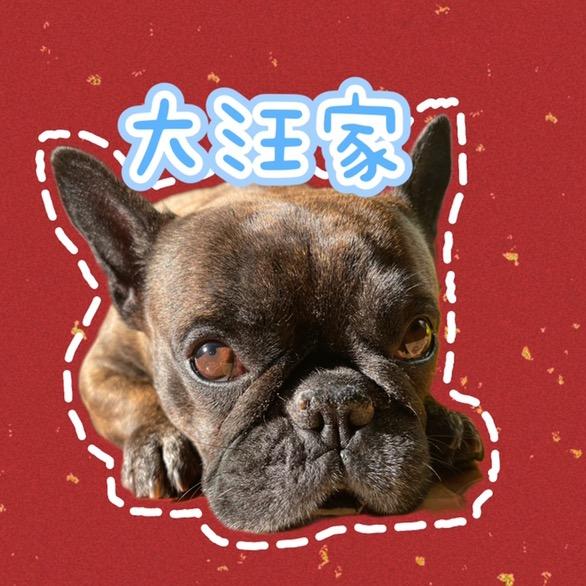 大汪家优质童品